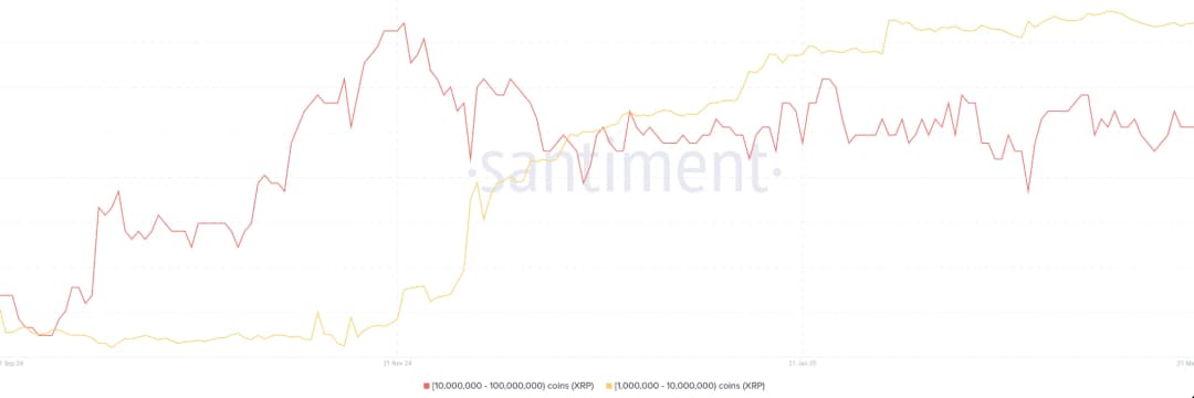 Santiment graph illustrating steady accumulation by XRP whale wallets (1M–10M tokens) over the past few months