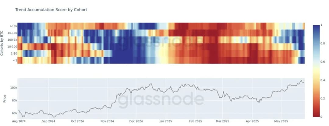 Glassnode-Diagramm zeigt den Accumulation Trend Score von Bitcoin-Wallets mit über 10.000 BTC, was einen Rückgang auf 0,4 anzeigt