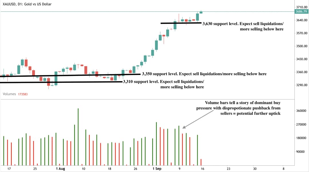 A daily candlestick chart of XAUUSD (Gold vs US Dollar) showing price levels between July and mid-September 2025.